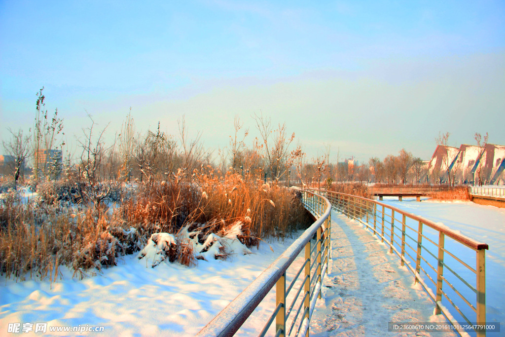 雪景