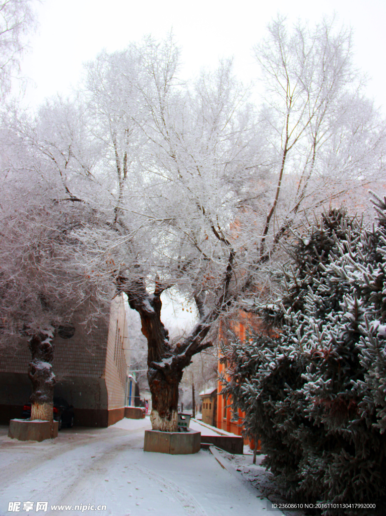 雪景