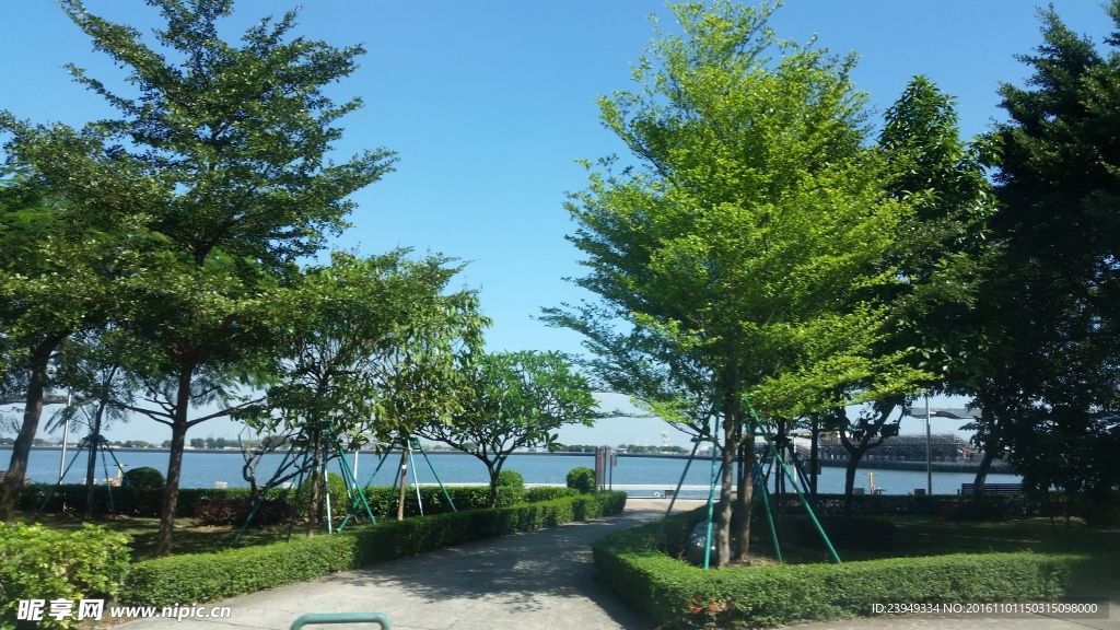植物