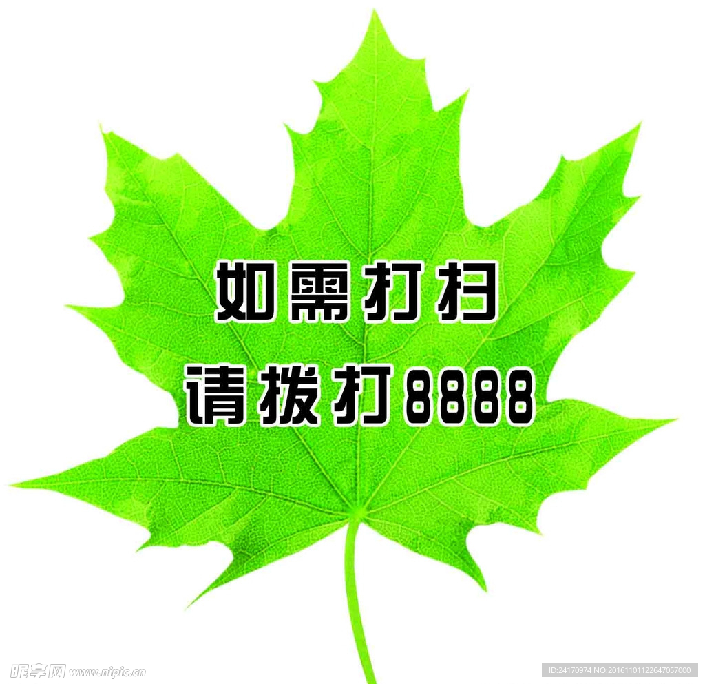 枫叶标语