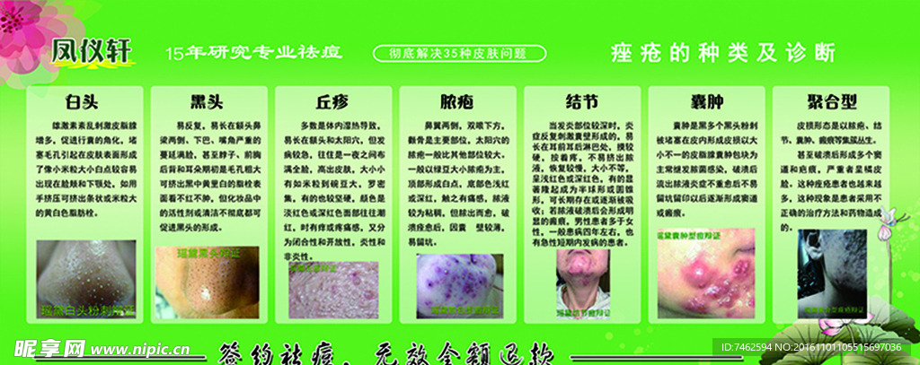 美容版面