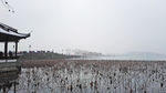 断桥残雪
