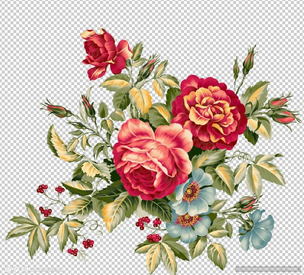 高清PSD透明背景手绘花卉玫瑰