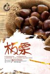 板栗海报