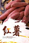红薯海报