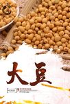 大豆海报