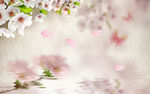 温馨兰花图片素材（分层）