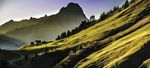 山坡