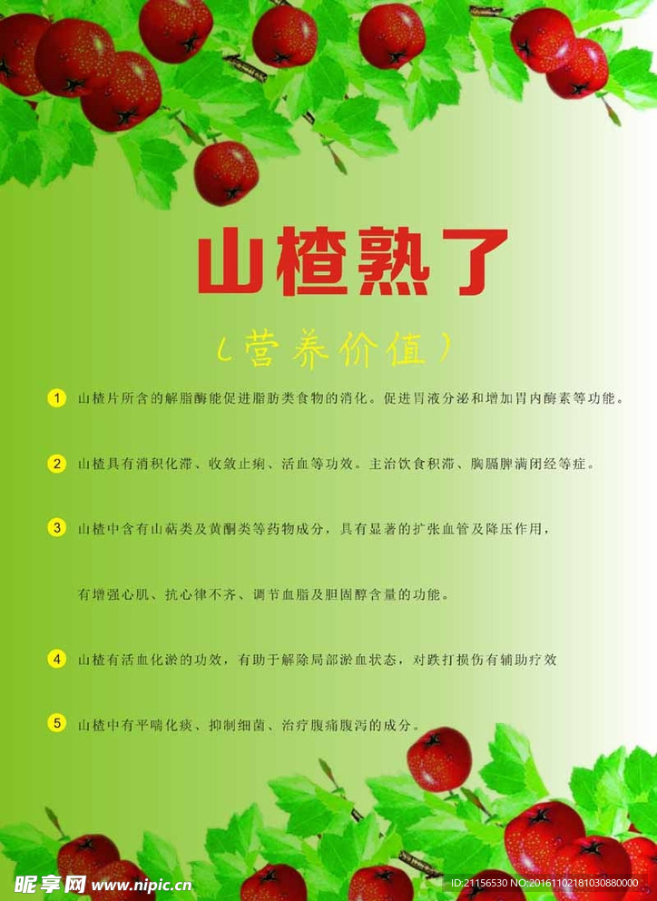 山楂海报