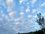 傍晚的天空