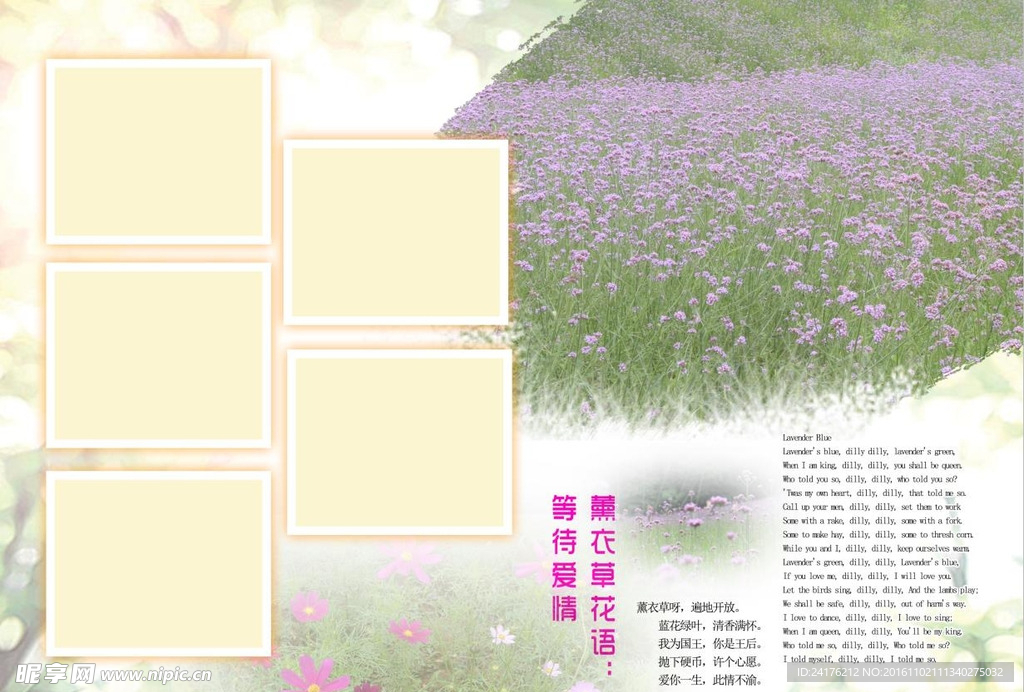 旅游相册