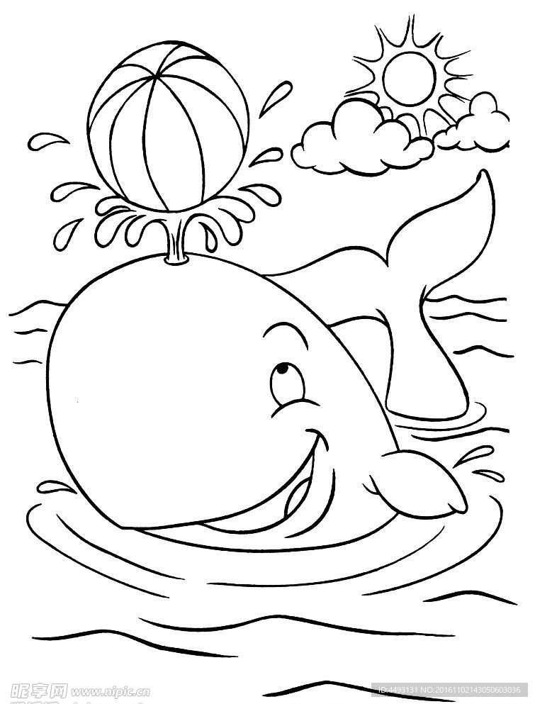 硅藻泥花纹  海豚表演