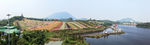 七彩花田全景