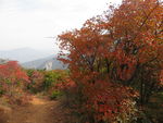 嵩山秋色