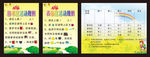 儿童幼儿园图书区表演区区域活动