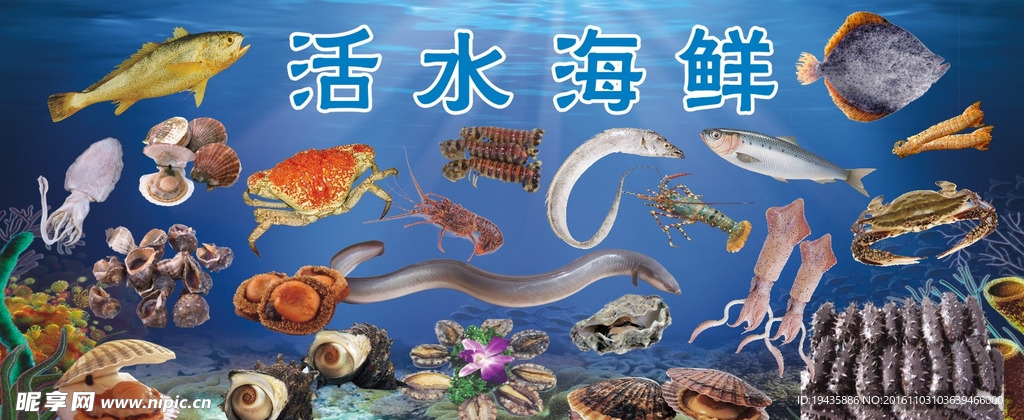 海鲜广告