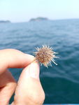 塞里岛风景