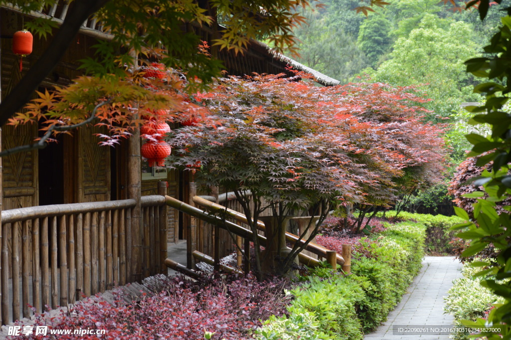 山野农家