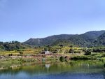 山川田野