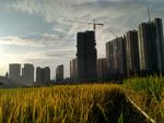 城市的黄昏