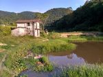 山川鱼塘