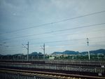 路