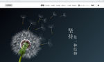 网站banner