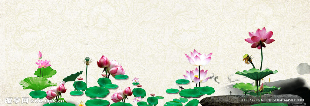 荷花背景