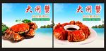 大闸蟹