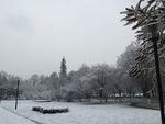 校园雪景