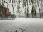 华桥外院雪景