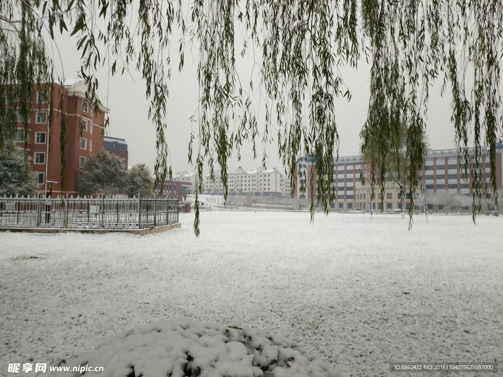 华桥外院雪景