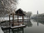 大学校园风光