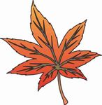 插画 矢量 卡通  手绘 线条