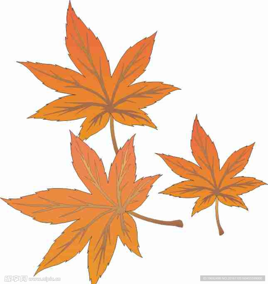 插画 矢量 卡通  手绘 线条