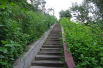 绿带休闲台阶