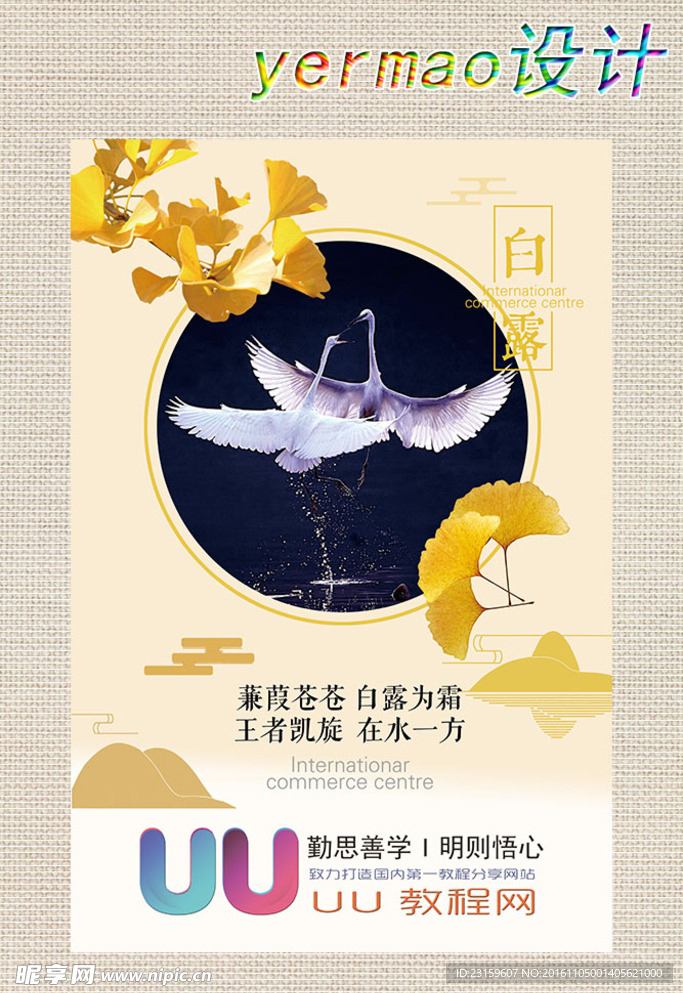 白鹭 二十四节气
