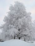 冰雪世界