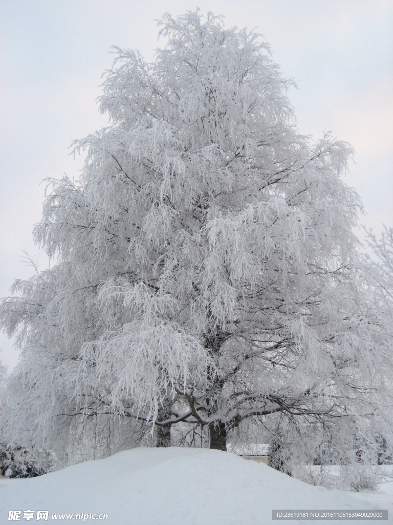 冰雪世界