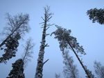 冰雪世界