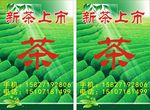 新茶上市