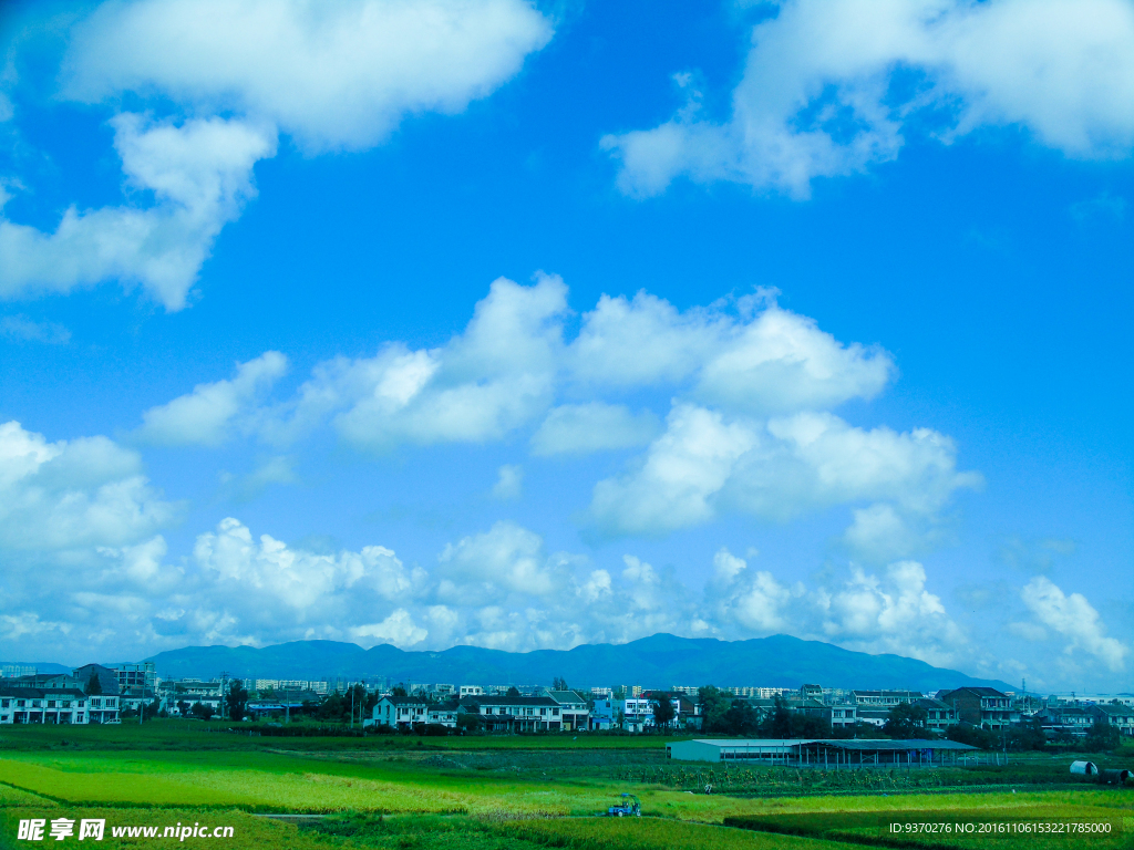 田园风景稻田