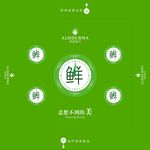 瑷露德玛海报