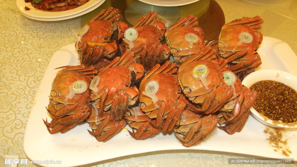 大闸蟹