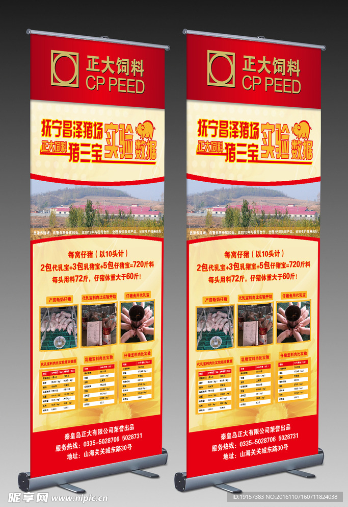 易拉宝效果图