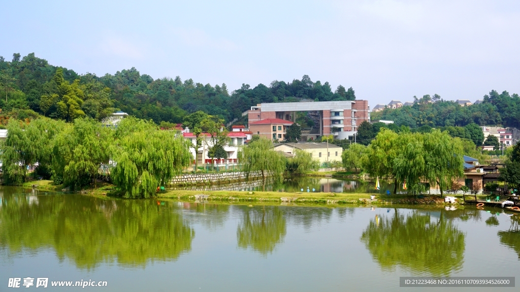 藕塘村风景