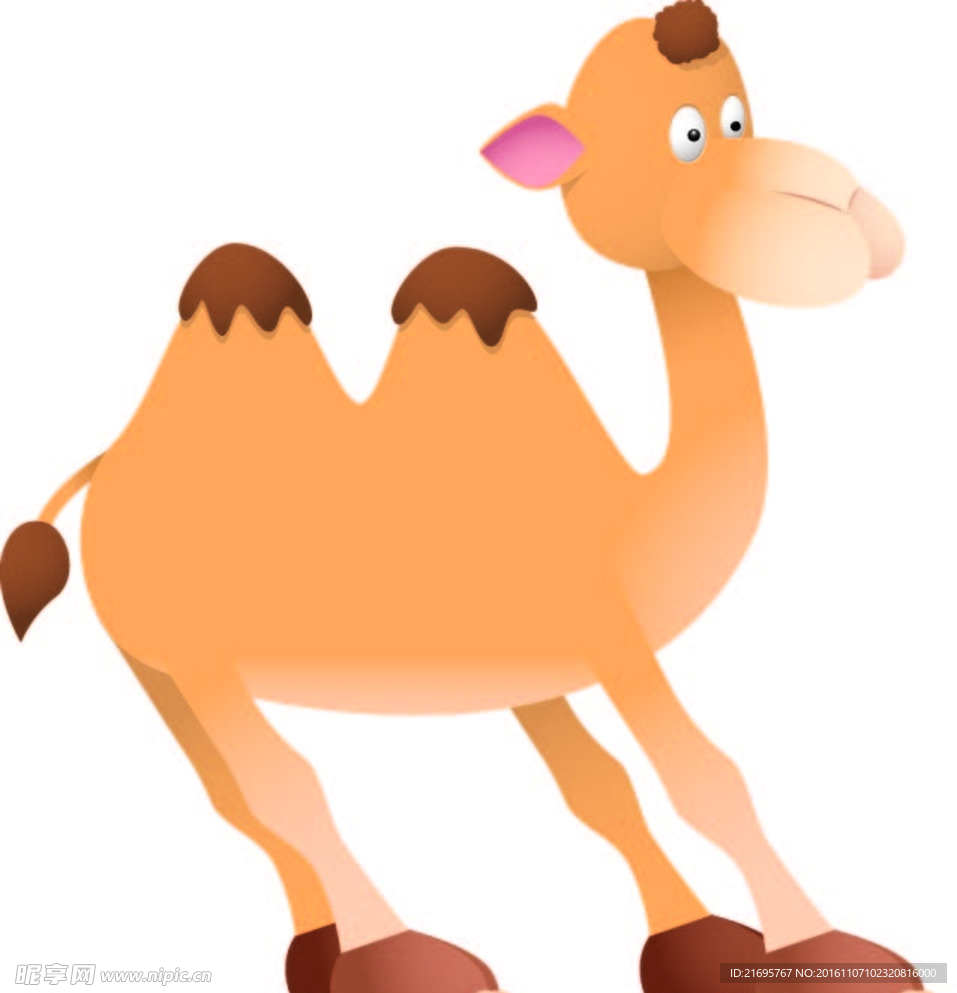 骆驼