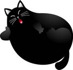 大肥猫