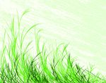 草丛