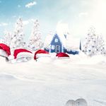 冬季雪景
